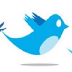 Like Follower In My Web