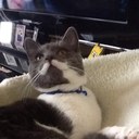 suzanne dempsey - @otis_dempsey - Twitter