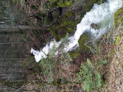 gourou1986's profile picture. 