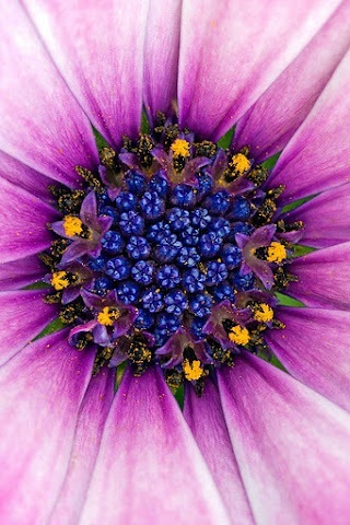 KCunningham39's profile picture. 