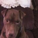 Bonnie Kirkpatrick - @BonnieKirkpat - Twitter