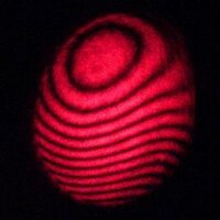 ML (@maxlocat) 's Twitter Profile Photo