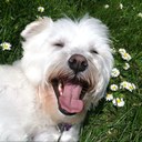 Tamara Jackson - @tjoyjack - Twitter