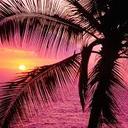 Tori Patterson - @Happykitt0915 - Twitter