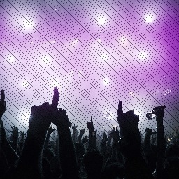PARTYだーーいすき♪♪ 遊びまくりましょーーー♪♪ プロモーションのお手伝いもしてます♪♪ EDMやフェス大好き(^^) 冬はボード！！ 苗場ー（≧∇≦）