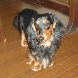 SarahSelleri's profile picture. 