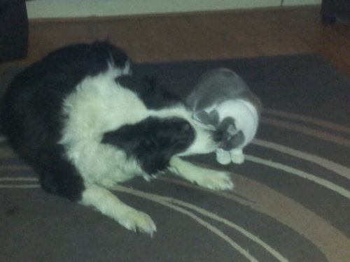 katelynolicara's profile picture. You Only Live Once ♥