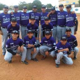 el beisbol es mi vida