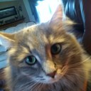 India Higgins - @ish51611 - Twitter