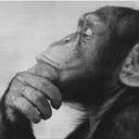 Scott Hunter - @ScottHunternufc - Twitter