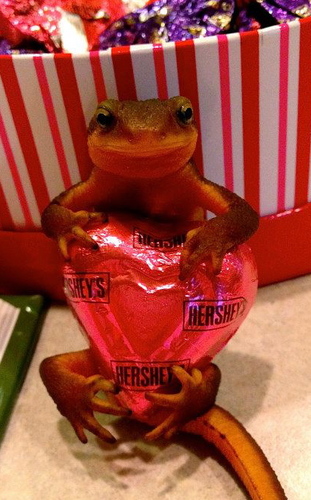 stuffonsal's profile picture. Sal'n around with some stuff