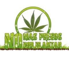 Organización pro despenalización del cannabis en Chile. Entendemos el auto-culitivo con un derecho humano esencial. Nuestro petitorio: http://t.co/U8JgoVhNGU