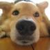 ヒロ姉 (@hrnee) Twitter profile photo ヒロ姉 (@hrnee) Twitter profile photo