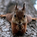 Clint Sargent - @ClintSargent1 - Twitter