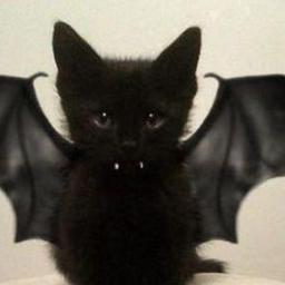 vampirecat007's profile picture. vampire cat. and absolutely death vampire more than Edward Cullen. and secret agent like James Bond