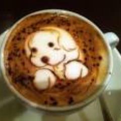 イタリアが大好きです。Cappuccinoと甘いパンの朝食最高！イタリア語を勉強して、旅行しても萎縮しないようになりたいです。ピザはマルゲリータ好き。