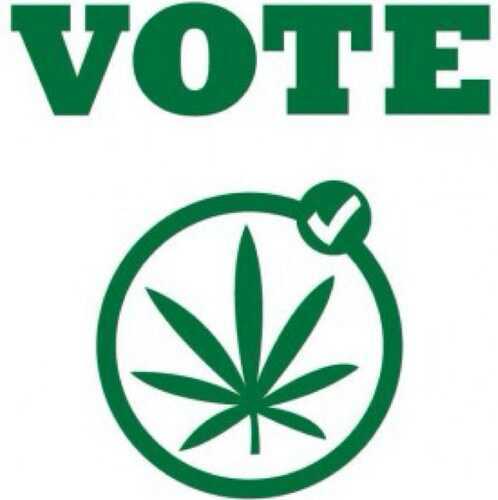 legalweedincali's profile picture. We'll never truly be free until nature is legal. Stay high my friends