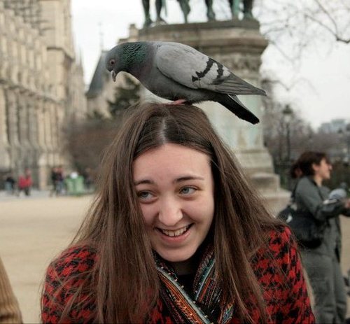 hhhhalla411's profile picture. I've been quoted in tweets enough times that should probably at least be reading them...