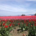 debbie curry - @CurrDeb - Twitter