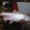 Mark Nickles - @markn461 - Twitter