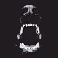 El Orla (@orlizard) 's Twitter Profile
