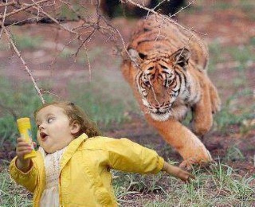 ComedyAve's profile picture. Basically this account is a place for jokes and just to have a laugh . We follow back 100% . After every 10k followers we do a random giveaway to a follower