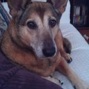 Melanie Strange - @strange_4_life - Twitter