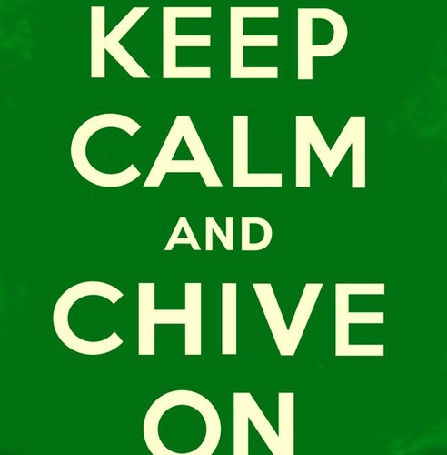 Full time dreamer... #KCCO