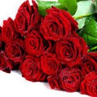 saqibkhan(saqi z) (@saqibkhanzzzzzz) 's Twitter Profile
