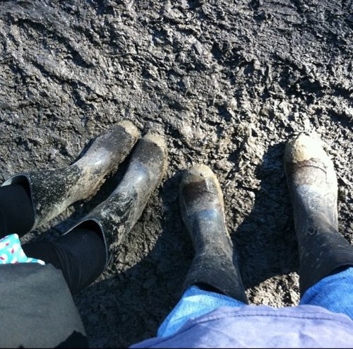 Verushka5's profile picture. 