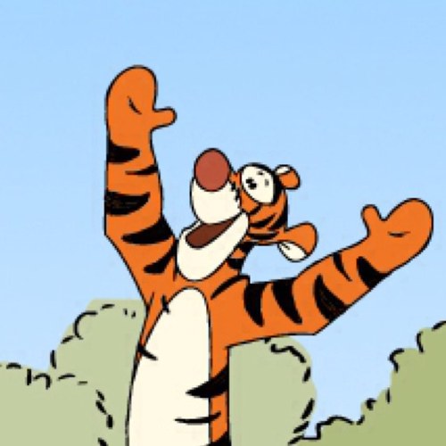 avavaer's profile picture. 