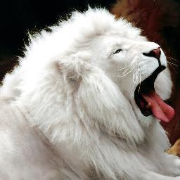 Gruneichtime's profile picture. 