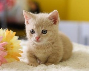 ひーちゃんさんのプロフィール画像