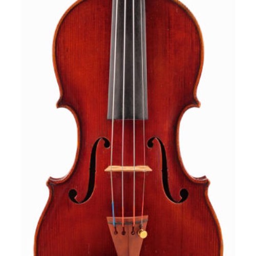 A Brazilian violinist passionate for music and people.