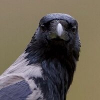 Loch Visions (@lochvisions) 's Twitter Profile