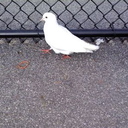 Leslie Mahon - @tattoosbyleslie - Twitter