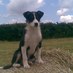 mark hayman (@hayman007) Twitter profile photo mark hayman (@hayman007) Twitter profile photo