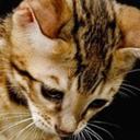 Dmitriy Dron - @OfiicalDron4ik - Twitter