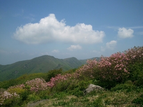 2013' 익스캠핑 시즌 오픈 (초,중,고교및 대학생 MT,기업단체 - 산악트래킹,스포츠클라이밍,레저캠프체험 프로그램운영합니다 참가문의 010-3678-5457)