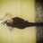 LaraCarrascosa9's profile image