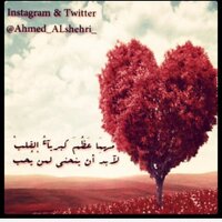 τ̅мήєєτќ (@abadi1132) 's Twitter Profile