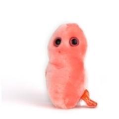 CumaKutil's profile picture. Cuma Kutil Bukan Tumor ganas