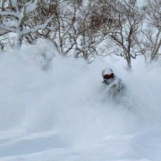 benpaddo's profile picture. 