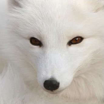 volumeup0's profile picture. 無苦集滅道