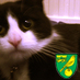 Freelance editor and mum to two gorgeous girls. Passionate about libraries and literacy. Most often to be found by a swimming pool or football pitch #otbc