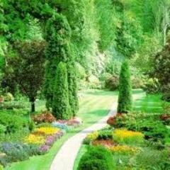 brijeshpathak13's profile picture. 