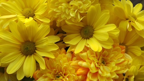 _rejoycing_'s profile picture. Love my family, family history, photography, cooking.