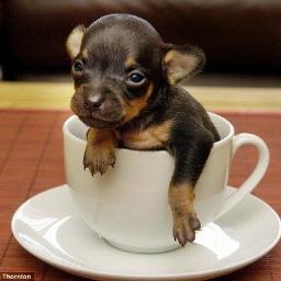 #ЧитайМеняАяТебя #ВзаимныйФолловинг #ЧитаюВзаимно #ретвит