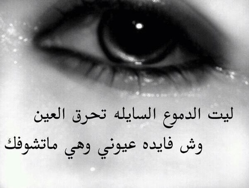 mo0772's profile picture. كوني اقرب لي منهم فَ أنا اخترتک من بينهم ♡