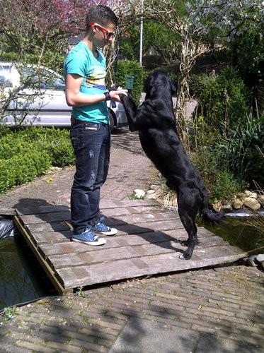 DidierTweet's profile picture. 